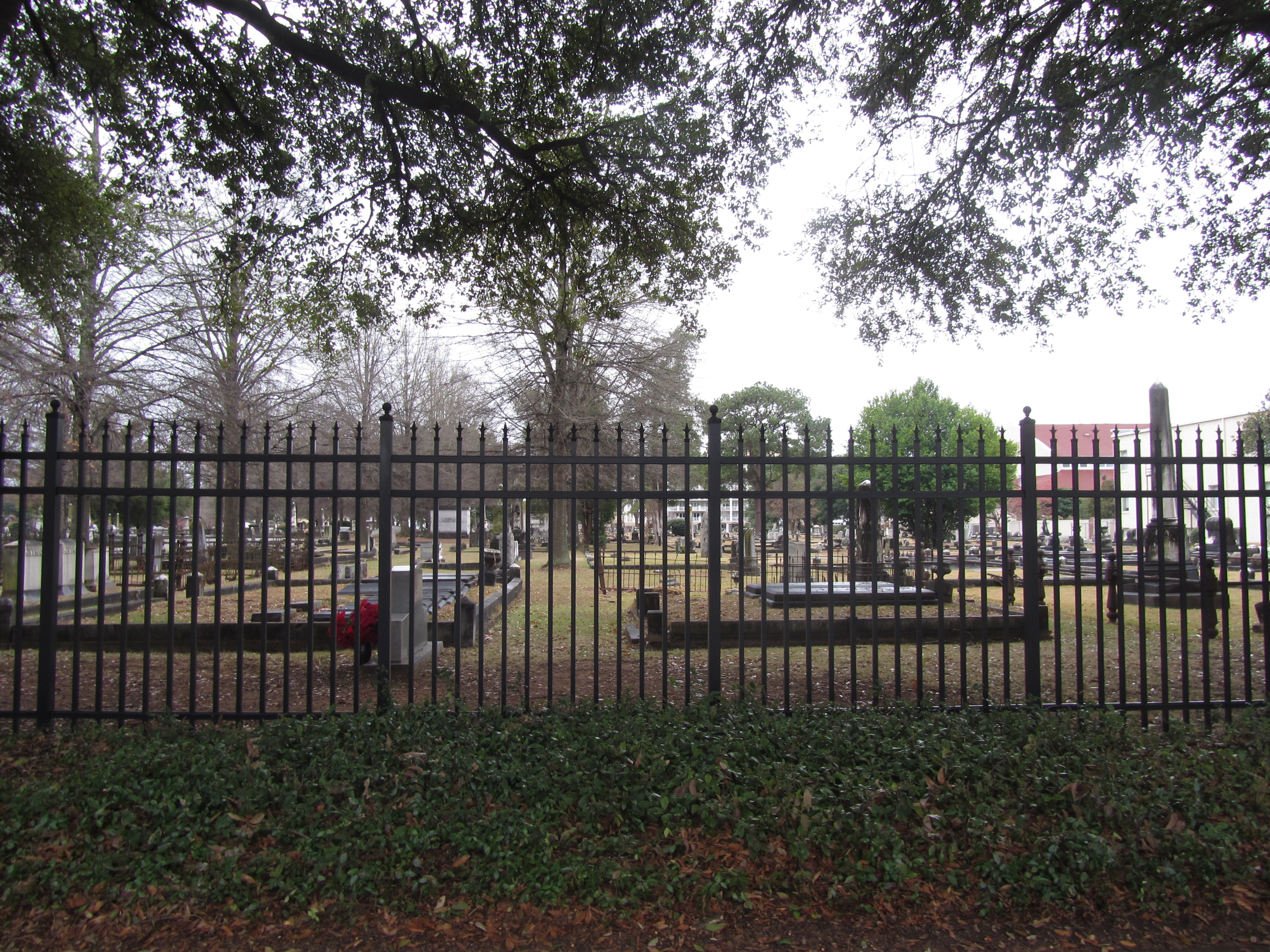 美国人找我要烟抽：美国印象