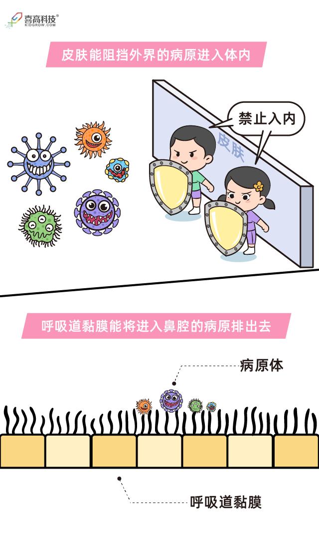 不爱生病的孩子,都在做这4件事,你家娃做到了吗?