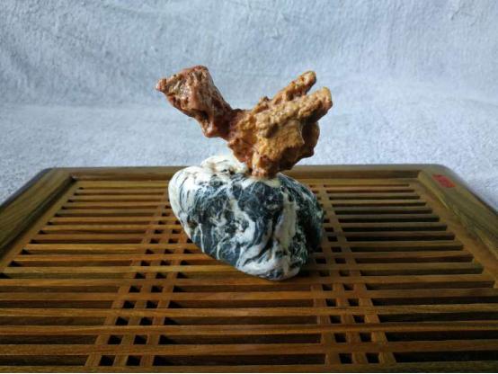 都是些什么“鸟石”？保证有你好看