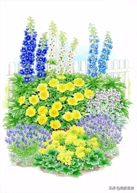 教你们一些特别实用的栽花小技巧,栽花有没有什么方法让它活得更好