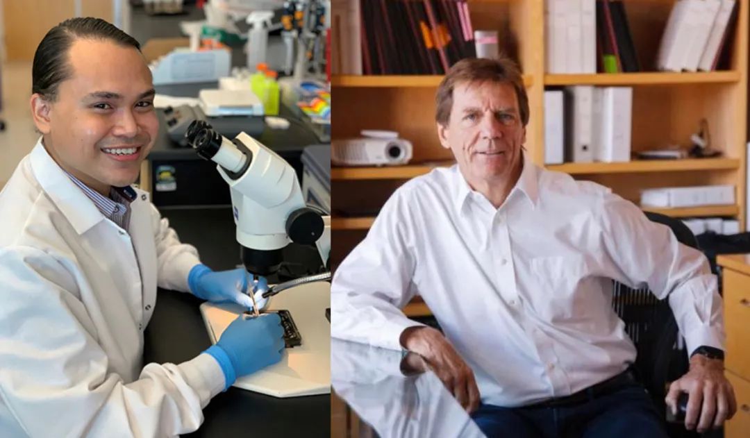 瞬间选择性失忆症,话到嘴边突然忘了