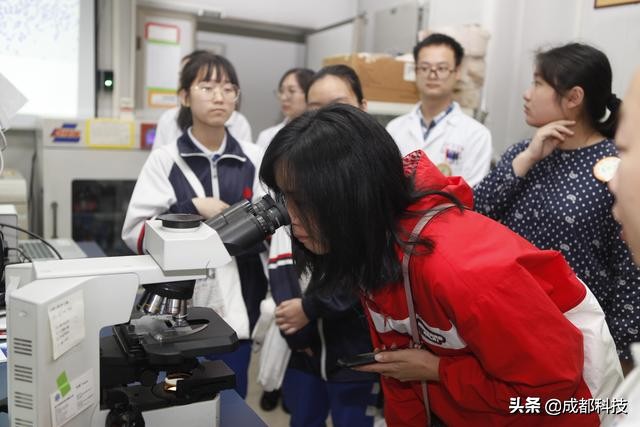 生命科学研究揭秘细胞的小秘密,探索细胞奥秘