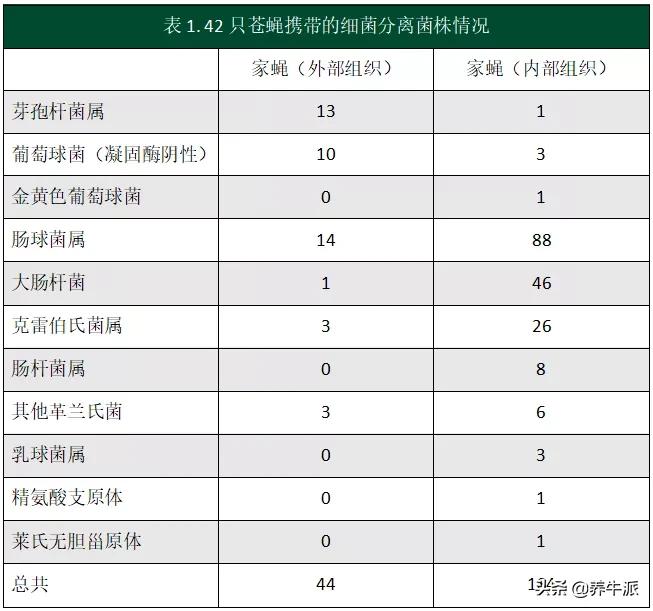 呕吐毒素对奶牛影响,奶牛身上长癣与苍蝇是否有关