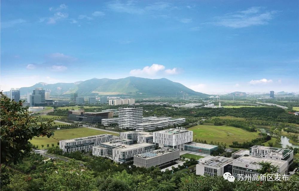 高真的是高,高实在是高啊