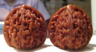 四大名核之一的核桃是哪几种,核桃里的四大名核