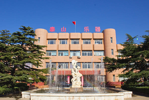 泰山乐器旗舰店,泰山乐器