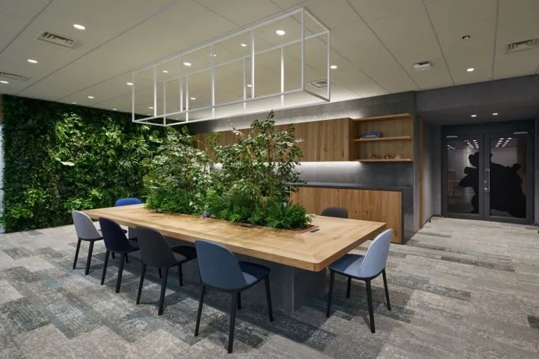 剑盾上市,剑盾全新