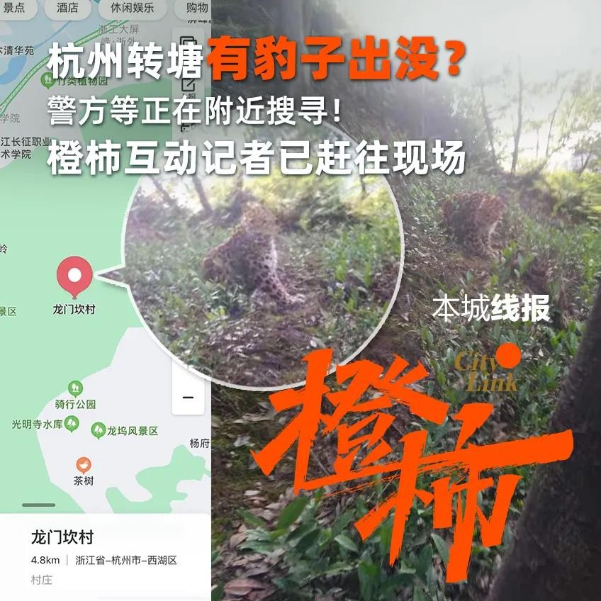 野生动物濒临灭绝的危险,如果碰到野生动物该怎么办