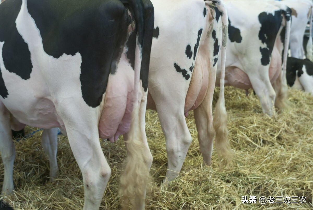 麸皮受潮生虫怎么治疗,麸皮生虫怎么办