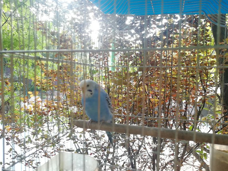 洛阳栾川竹海野生动物园值得去吗,洛阳栾川竹海野生动物园都有什么