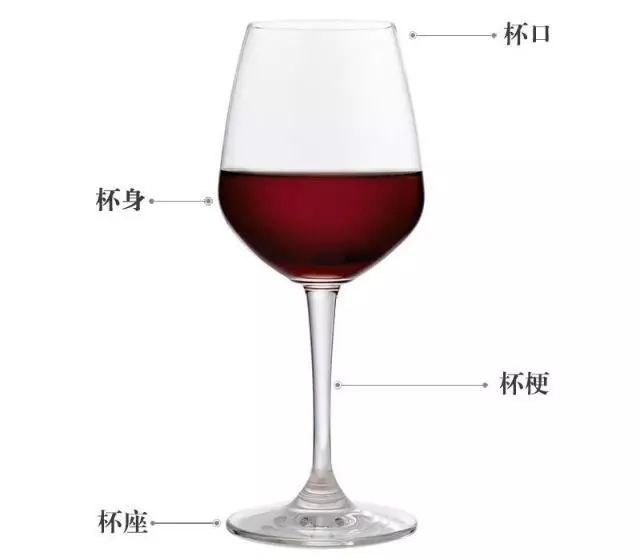 正确持杯姿势，展现优雅人生