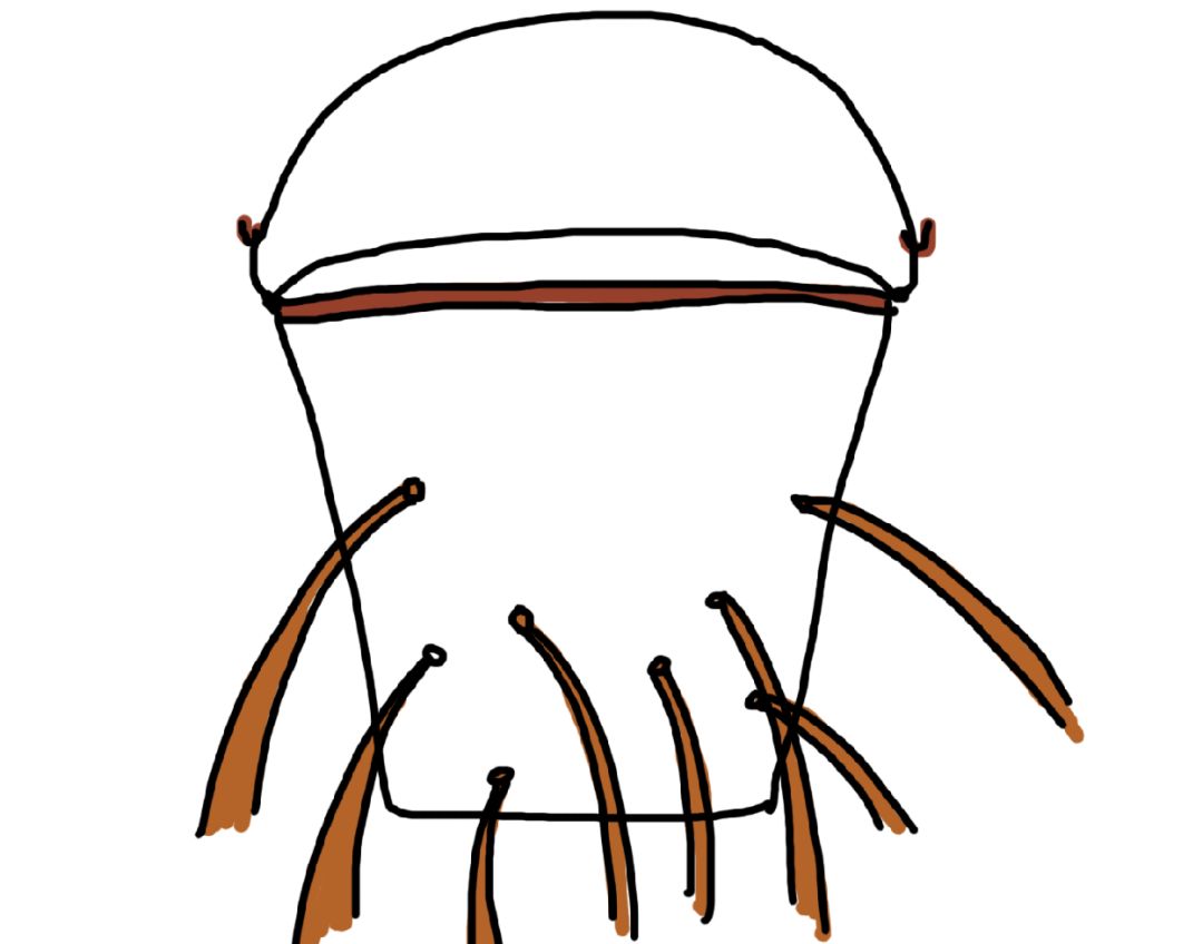 大家居行业发展,大家居行业发展趋势