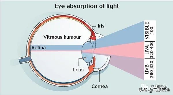 眼光学训练法,眼光学是什么