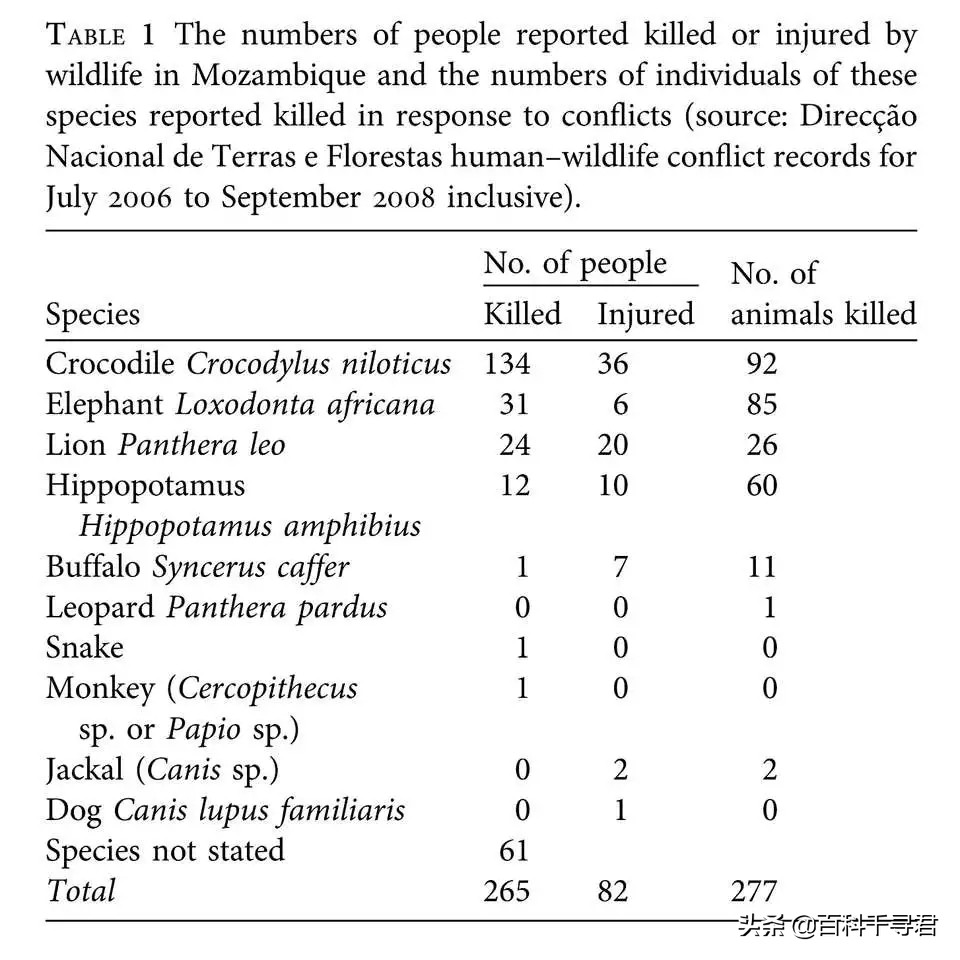 关于动物的10个伪事实你信了吗,关于动物的谣言许多人却深信不疑