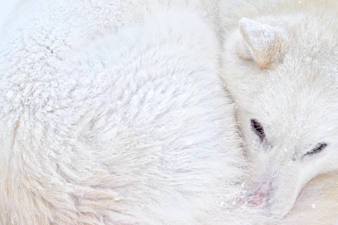 世界上最美的地方挪威,最美挪威旅游攻略