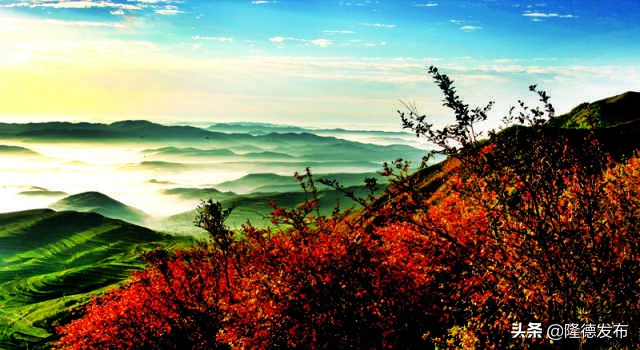 70年·夸夸我的城｜固原：吾心安处是吾乡，蓄势待发未来可期！