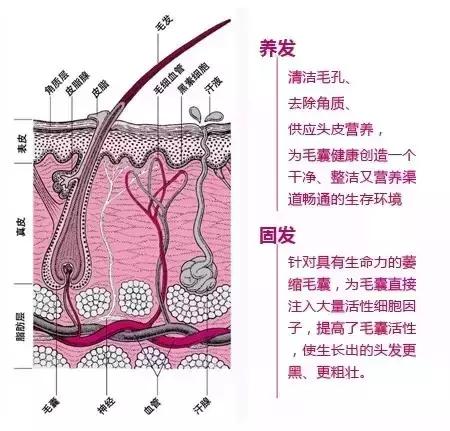 做头皮护理的十大好处,头皮理疗和护理