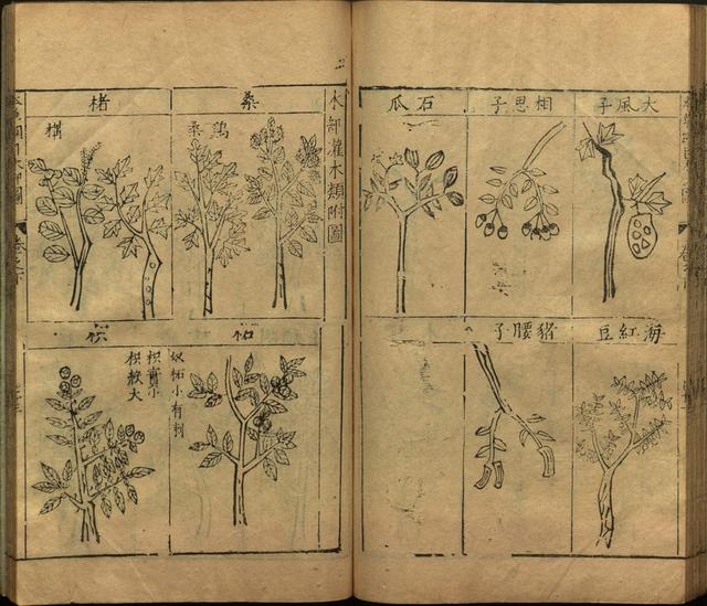 李时珍本草纲目书目录,李时珍本草纲目下卷