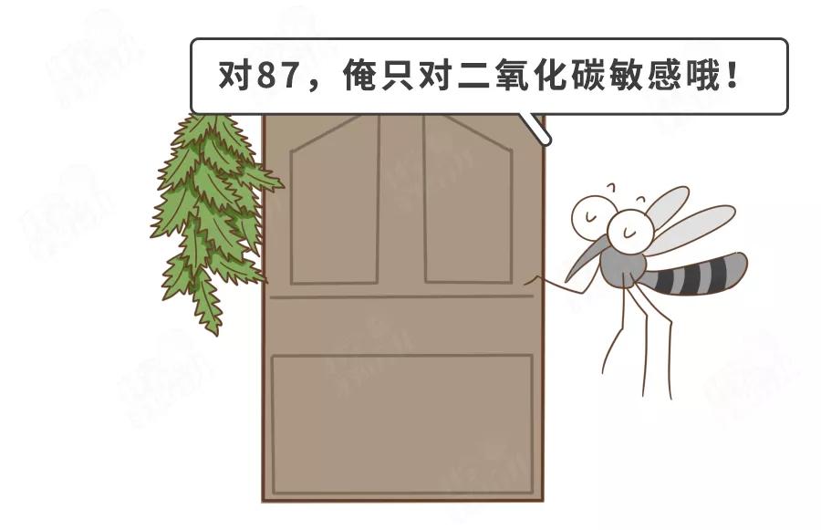 痒挠了起小疙瘩破了结痂,痒挠过以后有小丘疹疙瘩