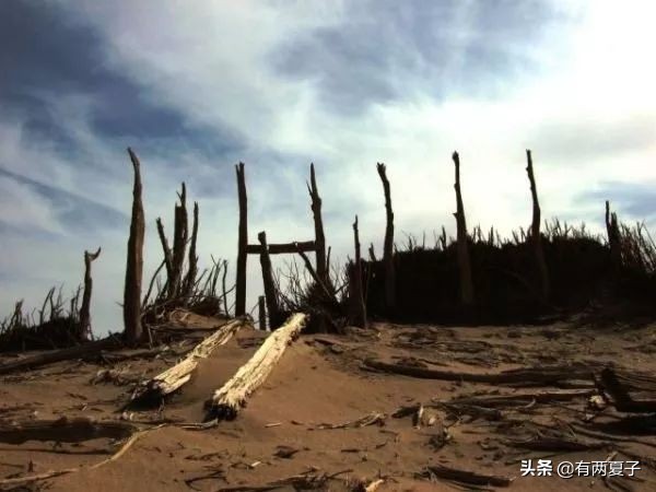 敢不敢去楼兰,楼兰可以去吗