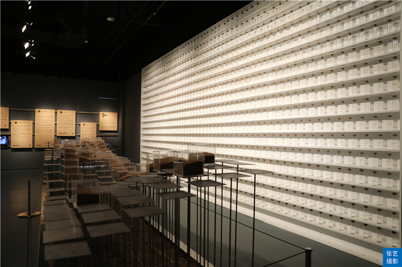 佛山华侨城欢乐海岸免门票吗,佛山华侨城欢乐海岸游乐场