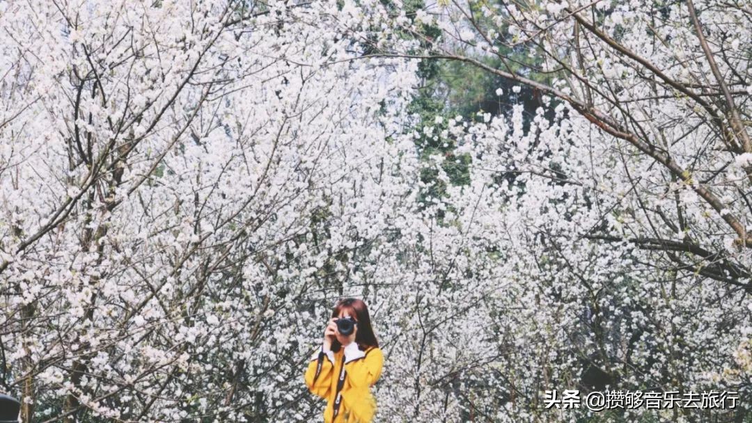 开挂了这座人口仅30万的小城,却连续5年上榜“四川省十强县”