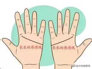 手相之感情线揭露感情的秘密,手相感情线大全图