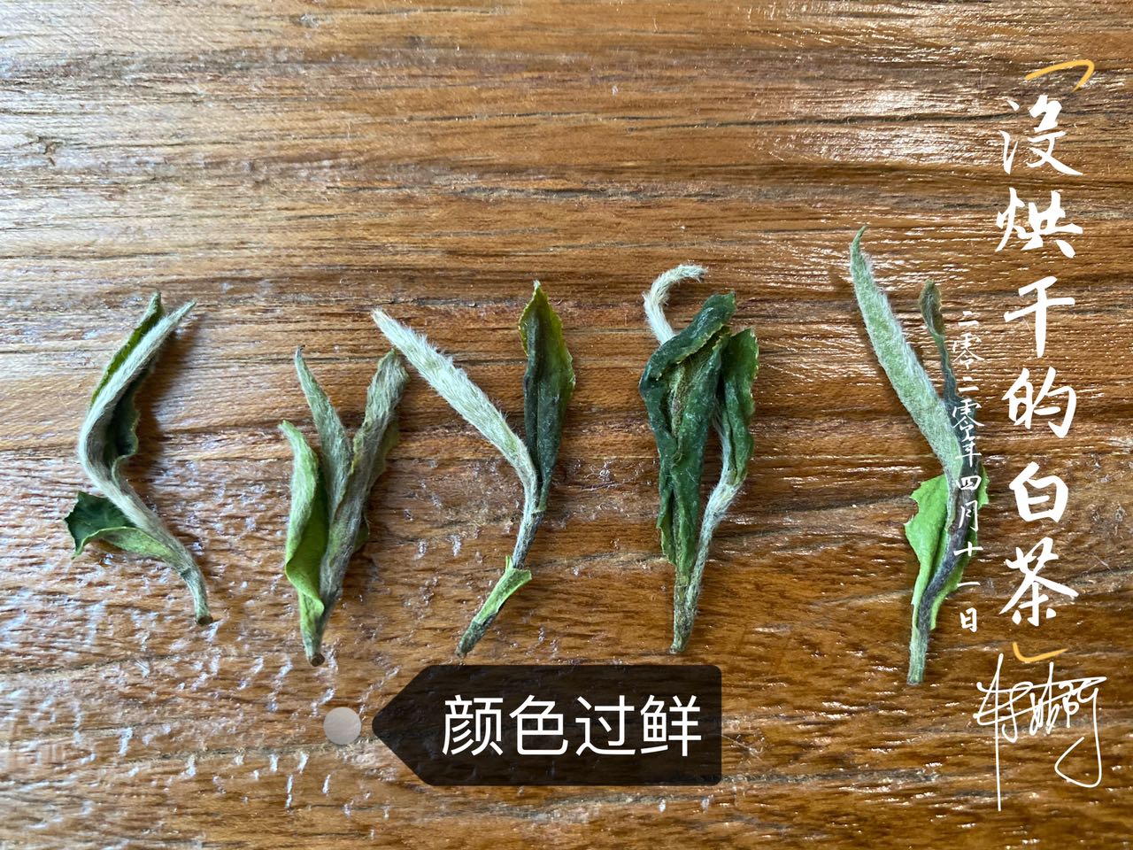 春白茶的采摘标准，无论白毫银针、白牡丹、春寿眉，只看芽叶吗？