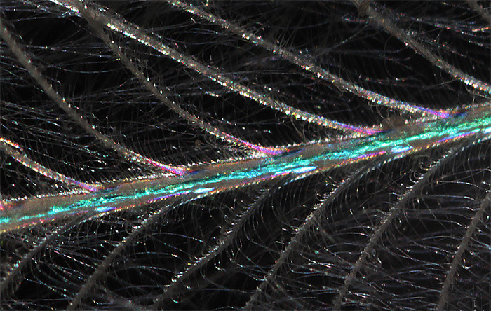 十分钟教你玩转高级感的摄影,都是干货