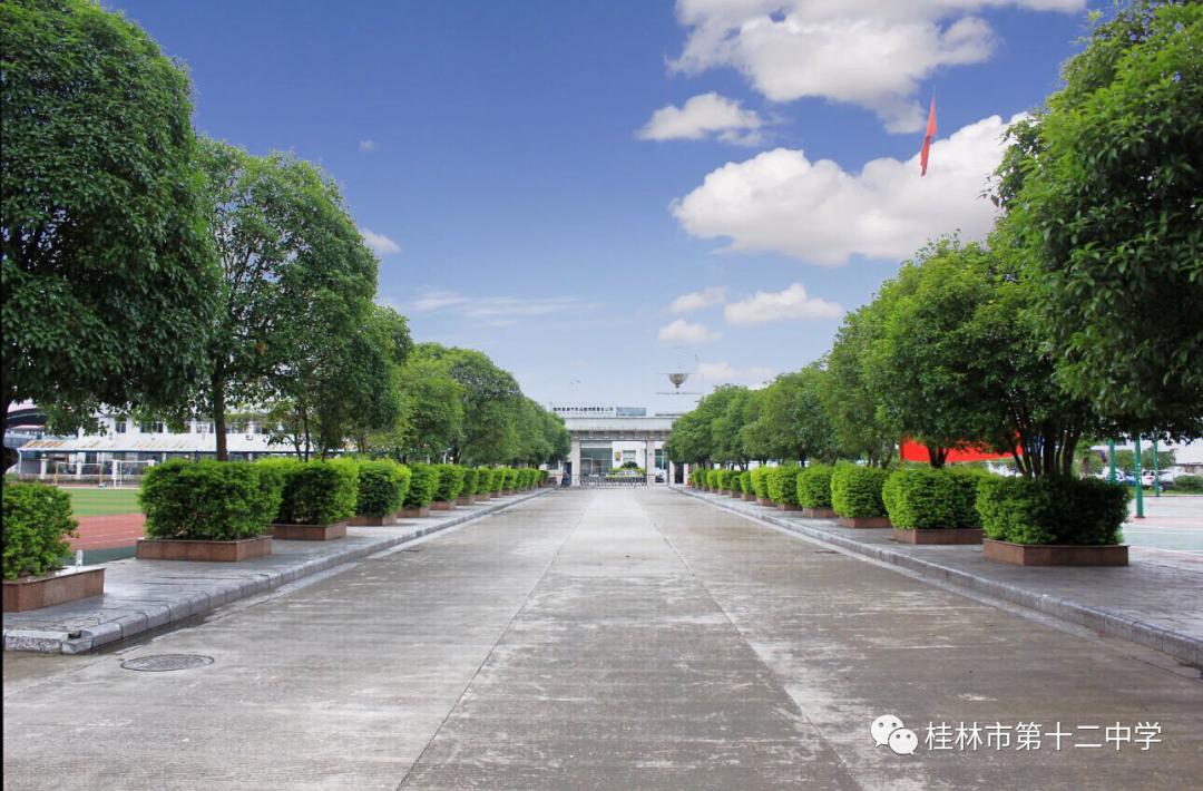 生本改革显成效智慧课堂更精彩——第十二中学特色办学发展纪实