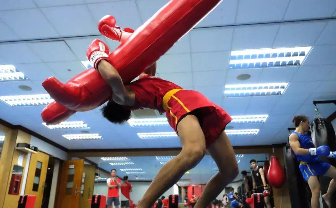 自学散打入门训练全套技巧,散打自学教程从零开始