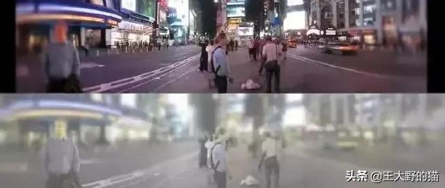 猫是不是远视,猫的眼睛为什么能夜视