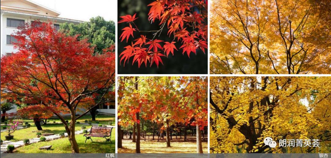 万科朗润园一期公寓,万科朗润园管家