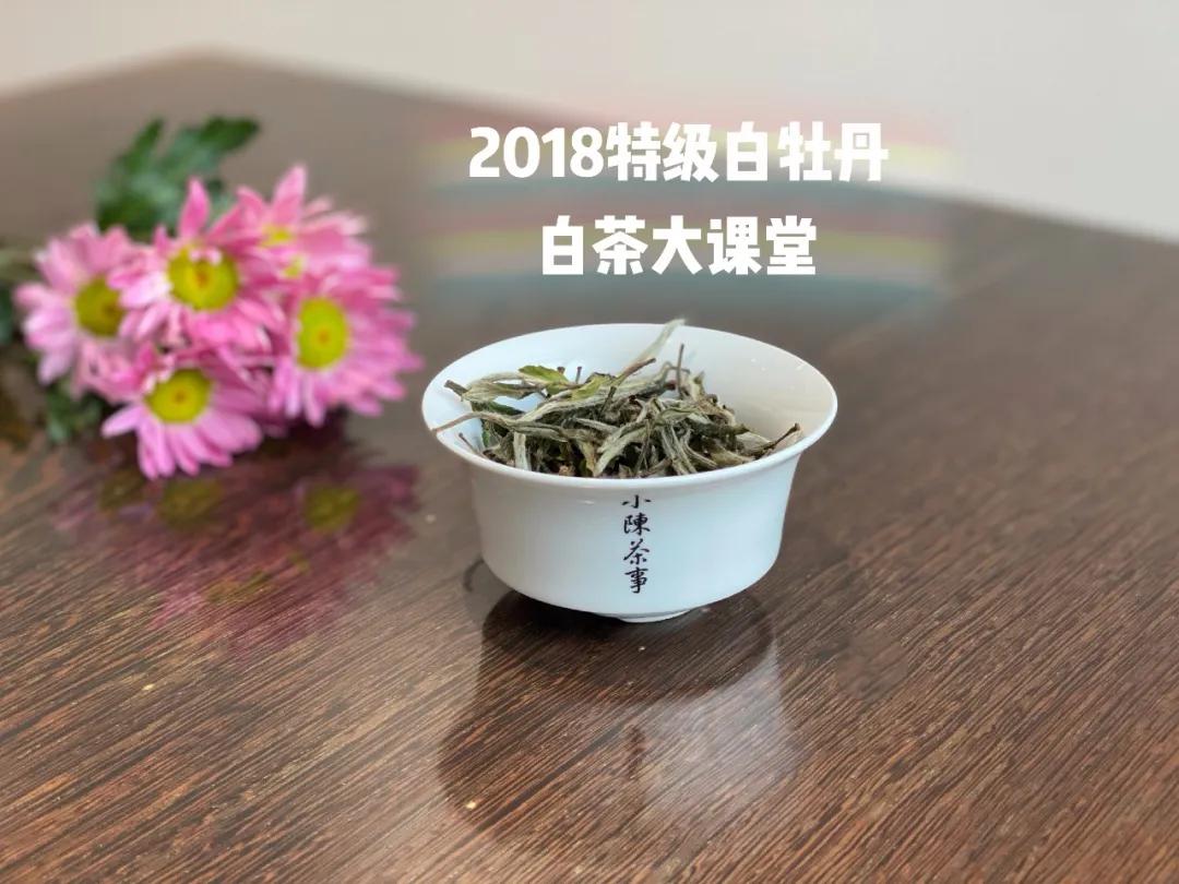 白茶是什么滋味,白茶讲的什么