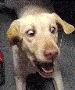 考清华北大其实很简单,有没有谁考清华北大很容易的