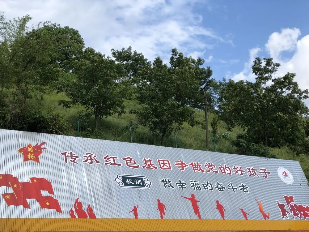 临安最好的小学是哪个,临安小学入学要求