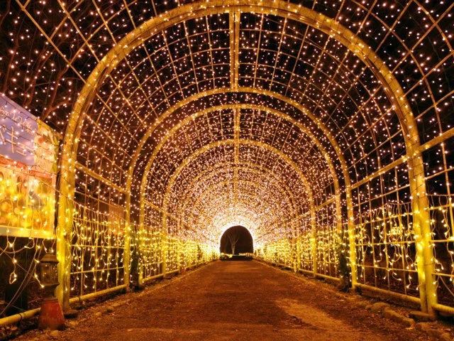 日本特色游玩,日本别样旅行