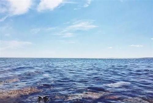 像鱼儿一样自由自在的歌,像鱼儿一样自由自在的心情说说