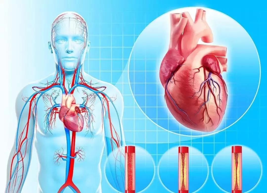 骨科专家说久坐不动的危害,久坐对骨科危害