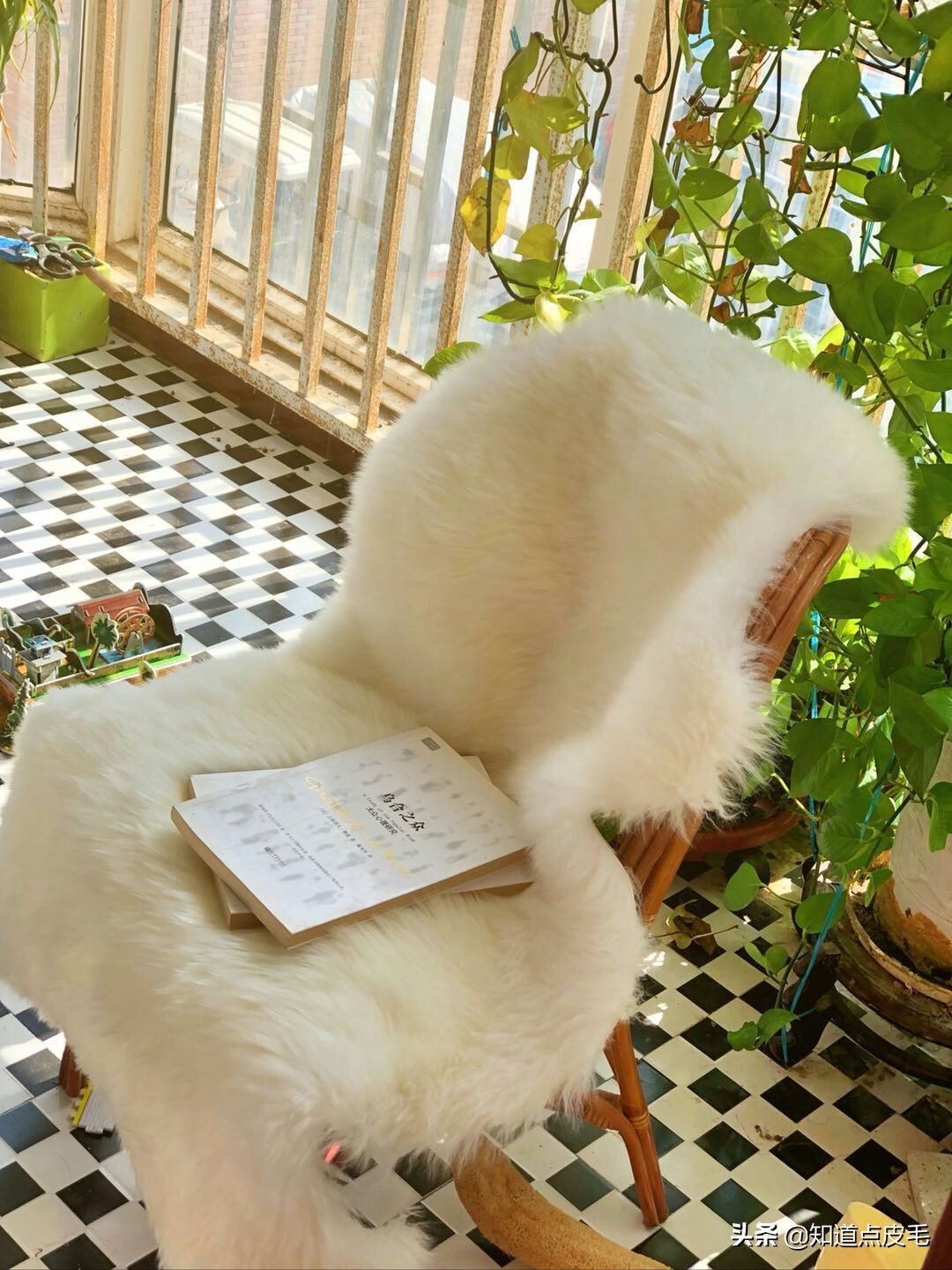 a股个人观点大全,a股最实用技术分析