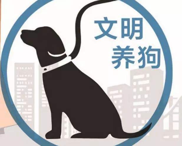 爸妈不让养狗怎么办,小区不让养狗狗狗如何处理