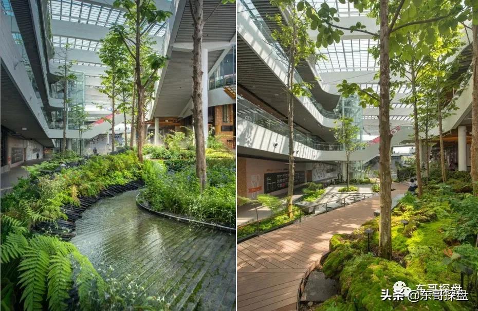 这四件事不要管,这四件事永远不要管