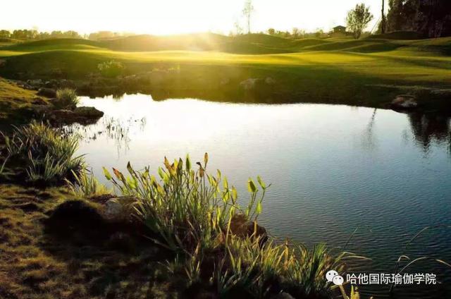 11月不负秋光不负卿恒大嘉丽泽养生谷百人户外瑜伽