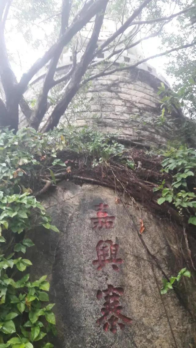 去厦门鼓浪屿游记攻略,鼓浪屿初二游记作文