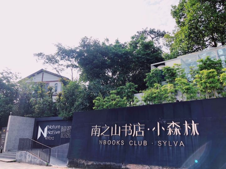 重庆的雾有多漂亮,雨后的重庆就像雾都