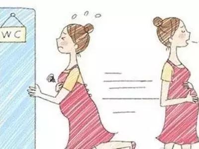 孕中期内脏被挤到哪了,怀孕后内脏都被挤到哪里去了