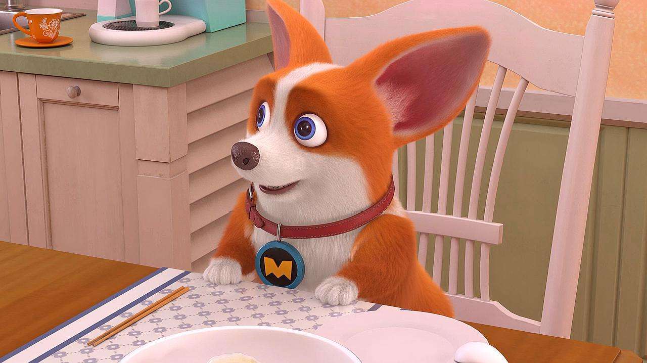 飞狗moco主人夸妈妈,飞狗moco和妈妈打架