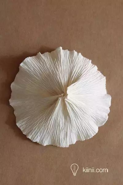 童话世界蘑菇屋农家乐 (儿童手工蘑菇屋创意介绍)