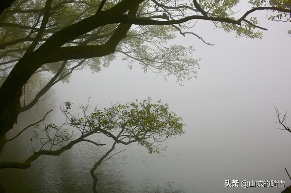 大洪山白龙池,大洪山风景名胜区白龙池