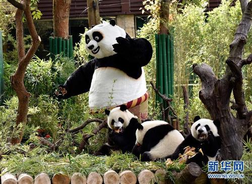 鏃呮父鏅偣骞垮窞闀块殕鏀荤暐,骞垮窞闀块殕鏃呮父鏅偣鎺掑悕绗竴